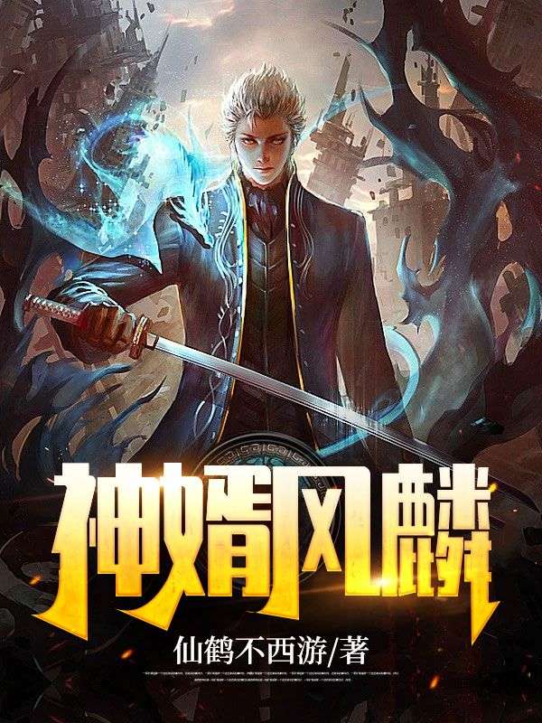 神婿风麟风麟安澜小说免费阅读-经典文学
