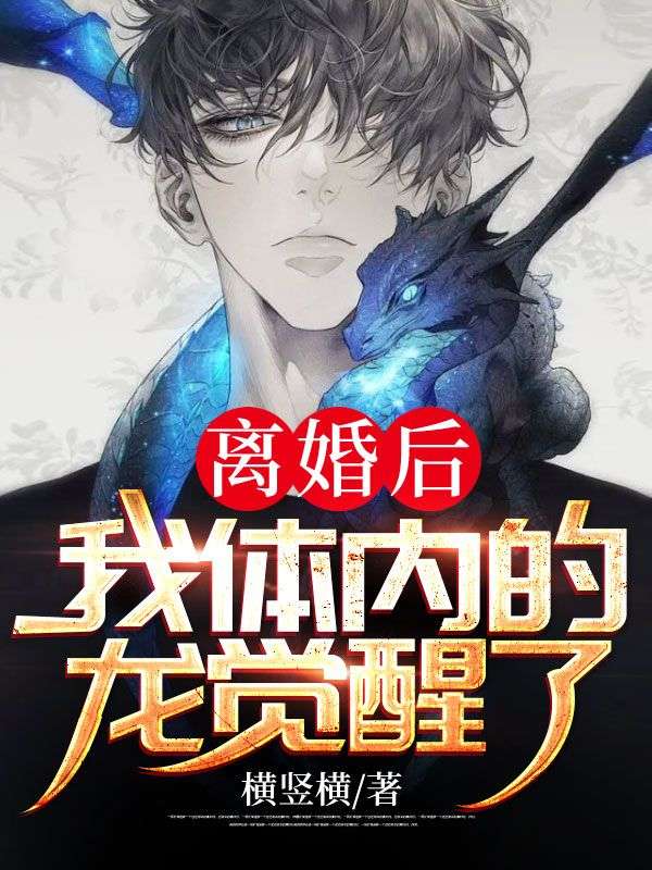 离婚后,我体内的龙觉醒了(叶风苏白芷)在线免费阅读-艾米文学