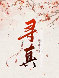 尋真（趙之夏陸笙）完整章節(jié)列表_本站精選