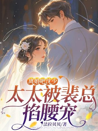 离婚吧沈少,太太被裴总掐腰宠