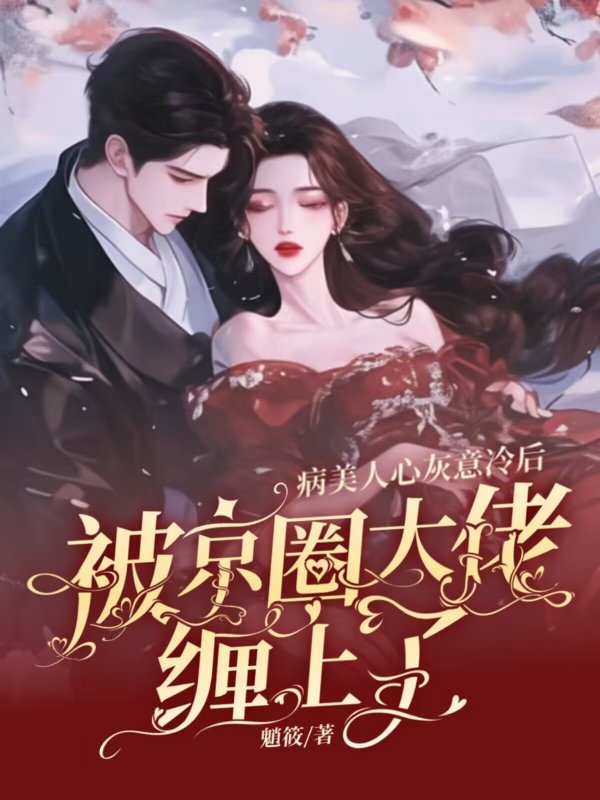 沈念清江聿川的故事在哪本小说里阅读？