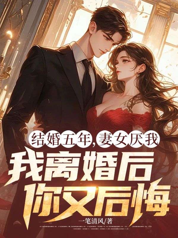 主角是林华阳罗思思乔奇梁的小说叫什么名字？