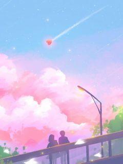 哪本书讲述了沈昭昭的情节？