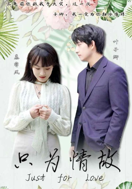 只为情故_女主是谁?