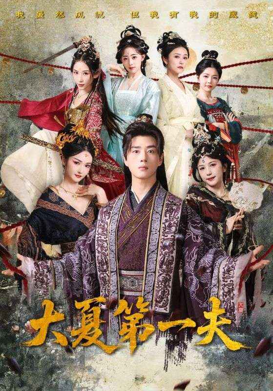 赵言，龙婉清主演的短剧叫什么?大夏第一夫
