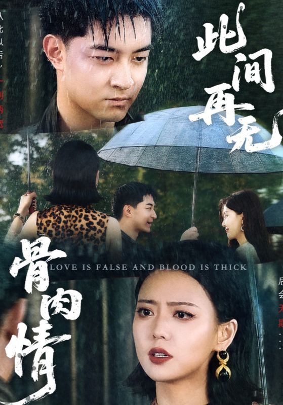 《此间再无骨肉情》观看全集